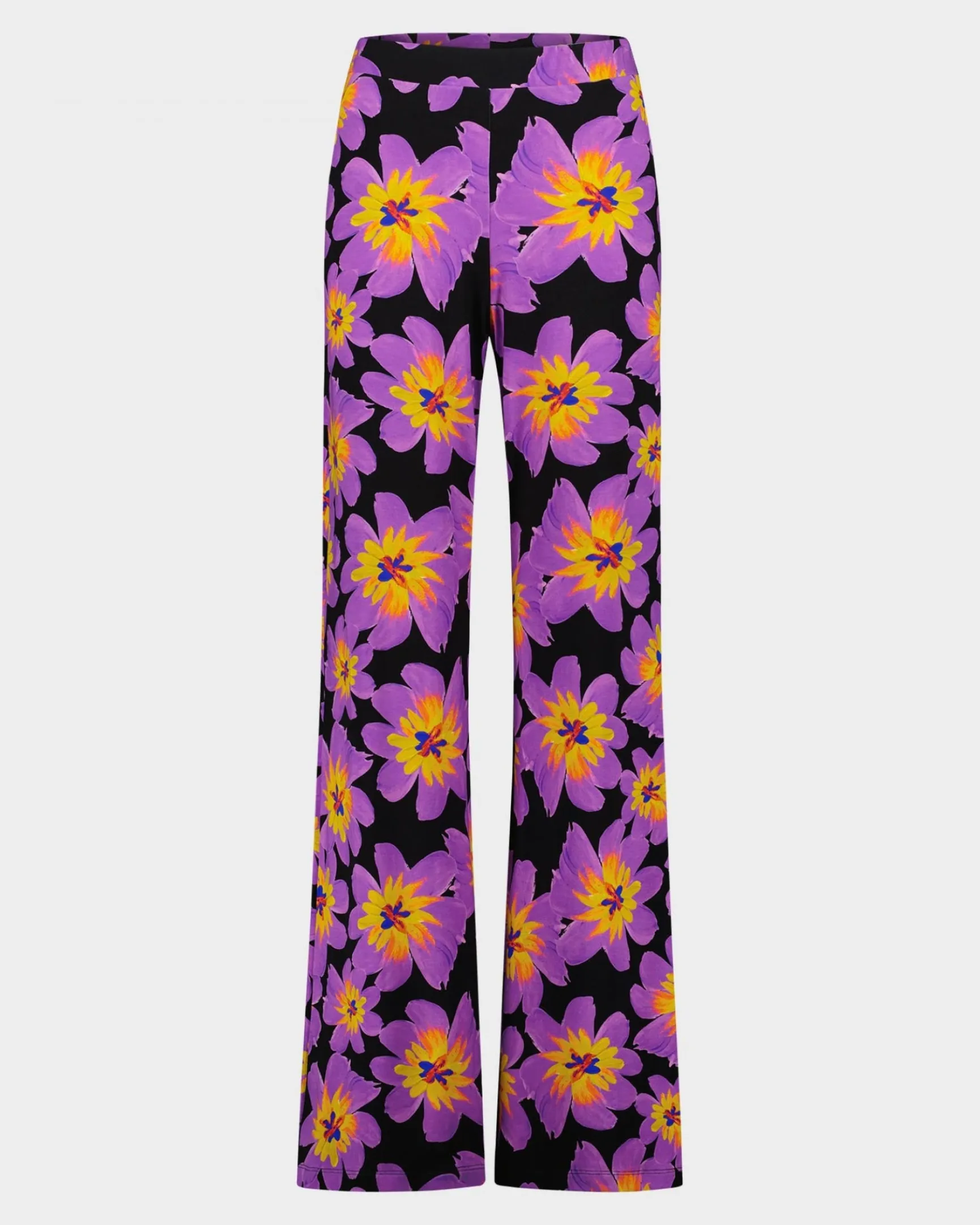 Josh Palazzo | Purple