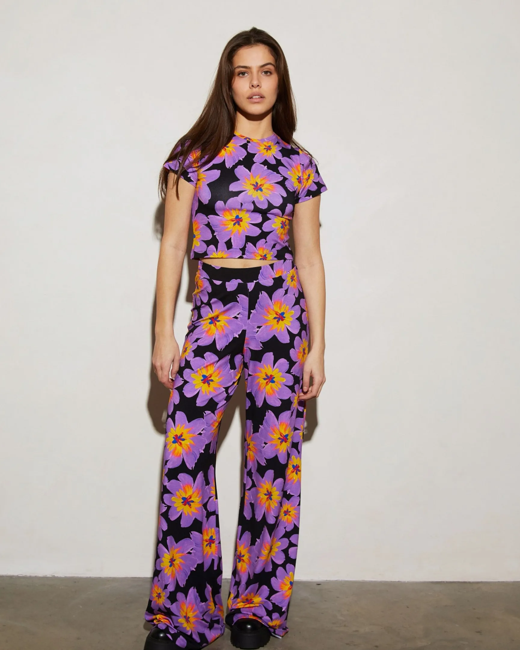 Josh Palazzo | Purple